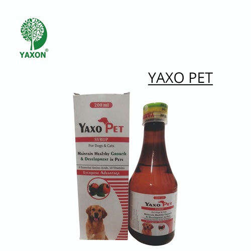 Yaxo Pet