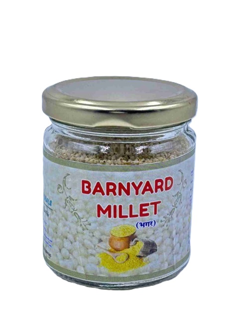 Barnyard Millet