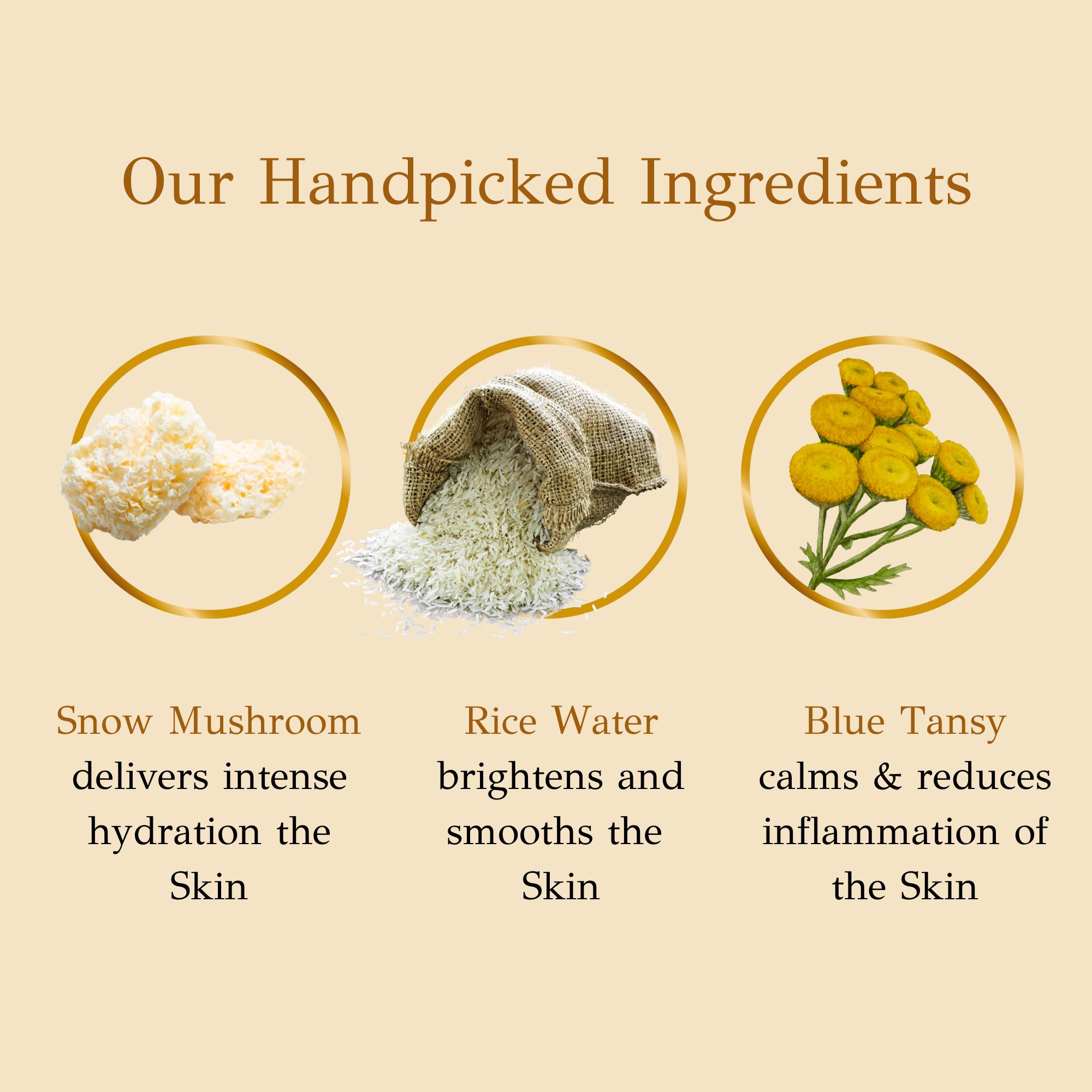 Hydra Boosting Gel Ingredients
