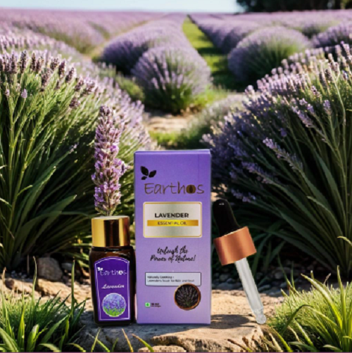 Lavender Essential Oil