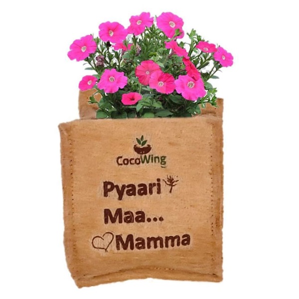 Wall Mounted Jute Grow Bag