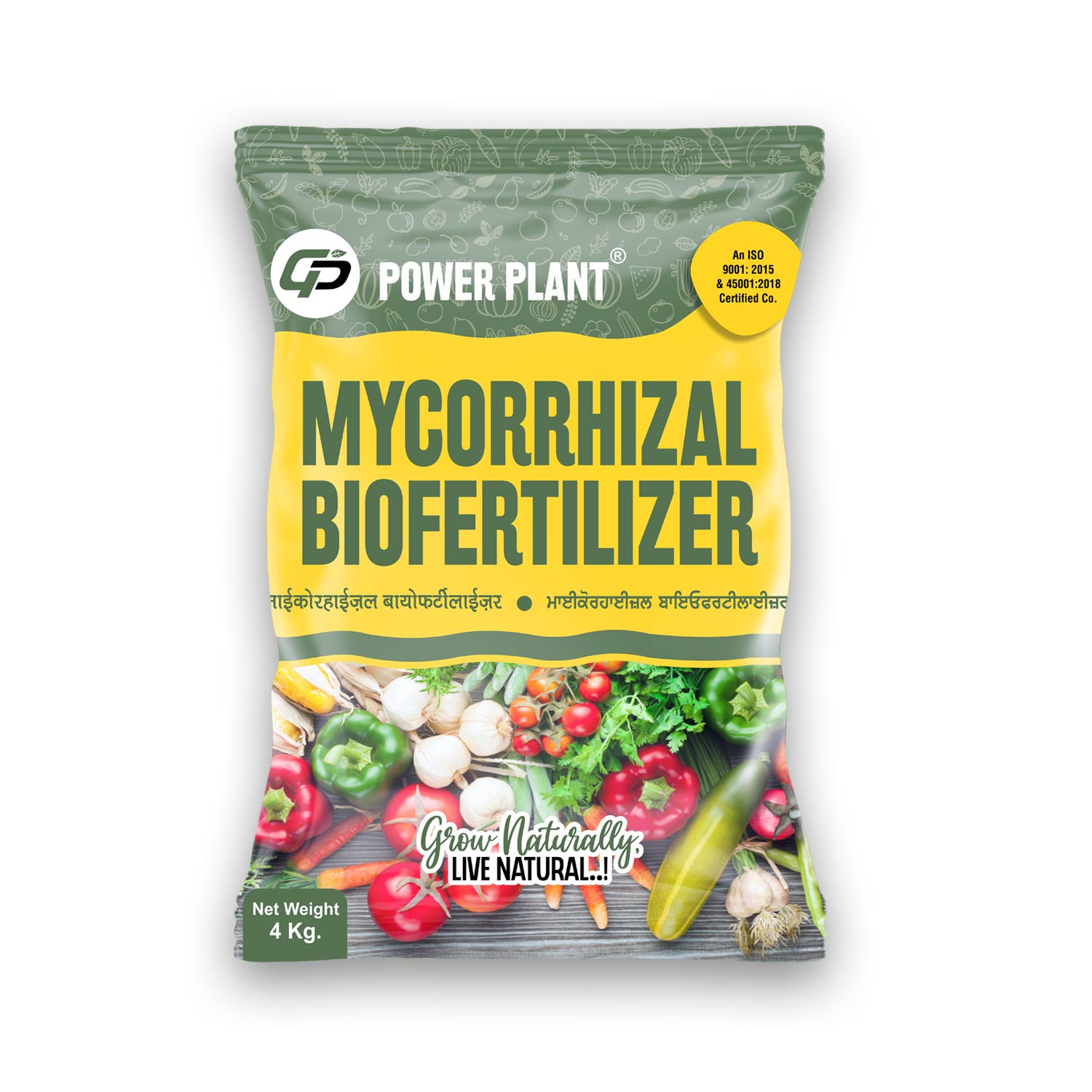 Mycorrhiza