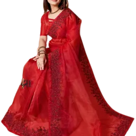 Red Organza Sequence Work Saree – Jhanvi