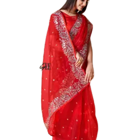 Organza Sequence Saree With Silver Border – Idika