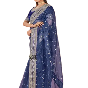 Organza Embroidered Sequence Threadwork Saree – Chandani
