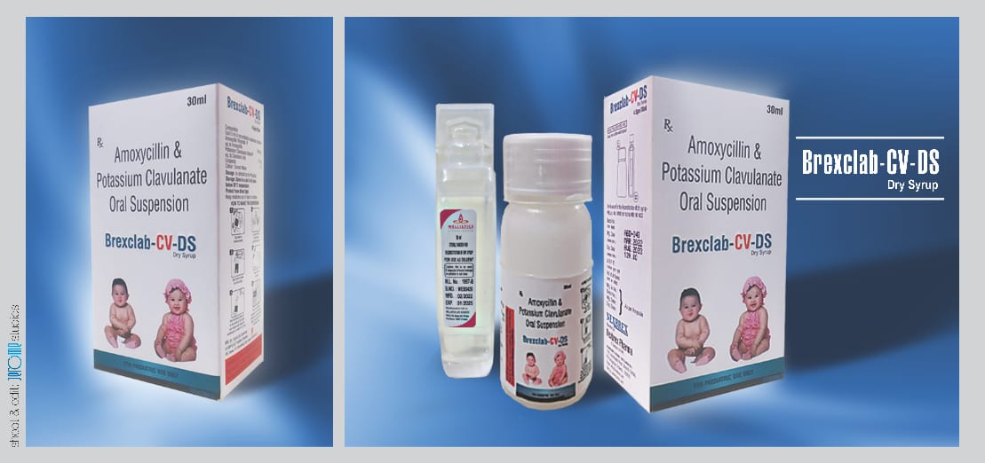 Brexclab-CV-DS