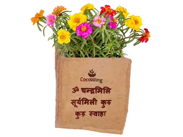 Sanskrit Words Wall Mounted Jute Grow Bag